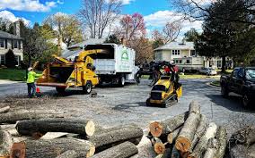 Best Emergency Tree Removal  in Leawood, KS