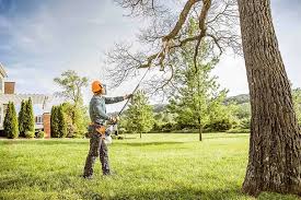 Best Commercial Tree Services  in Leawood, KS